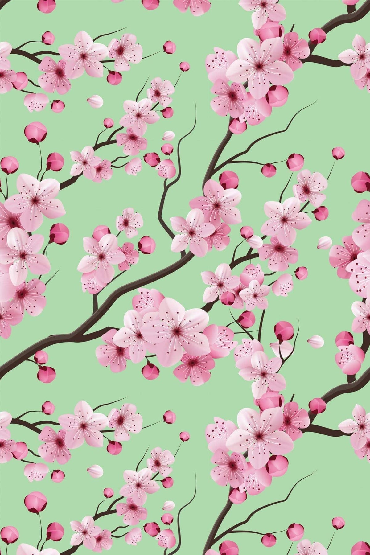 Cerisier En Fleurs Vert Amande, aperçu aux dimensions saisies