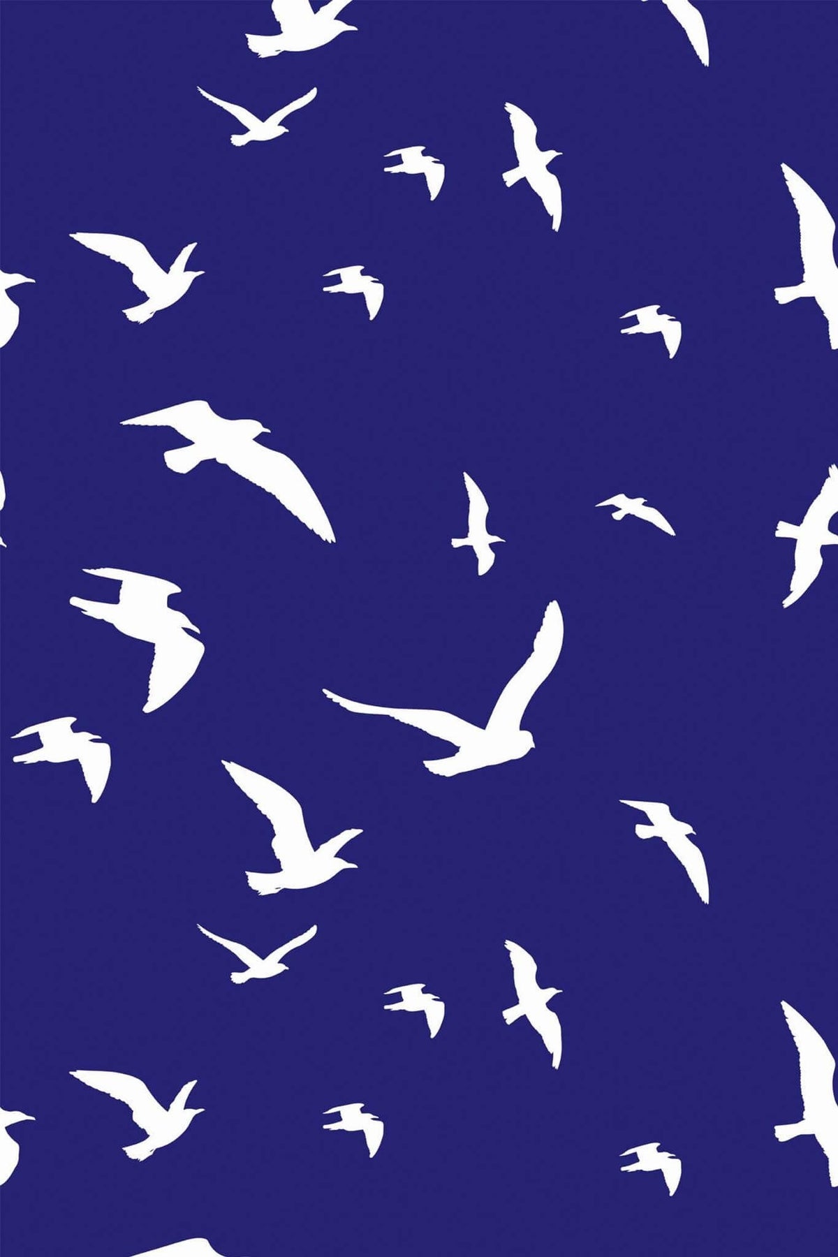 Mouettes Blanches sur Outremer, aperçu aux dimensions saisies