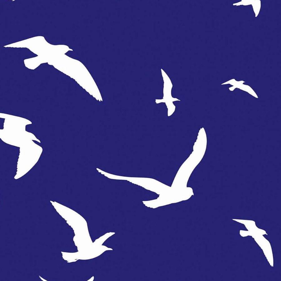 Gros plan de l'impression : bord net d'une aile blanche posée sur l'aplat bleu, sans dégradé.