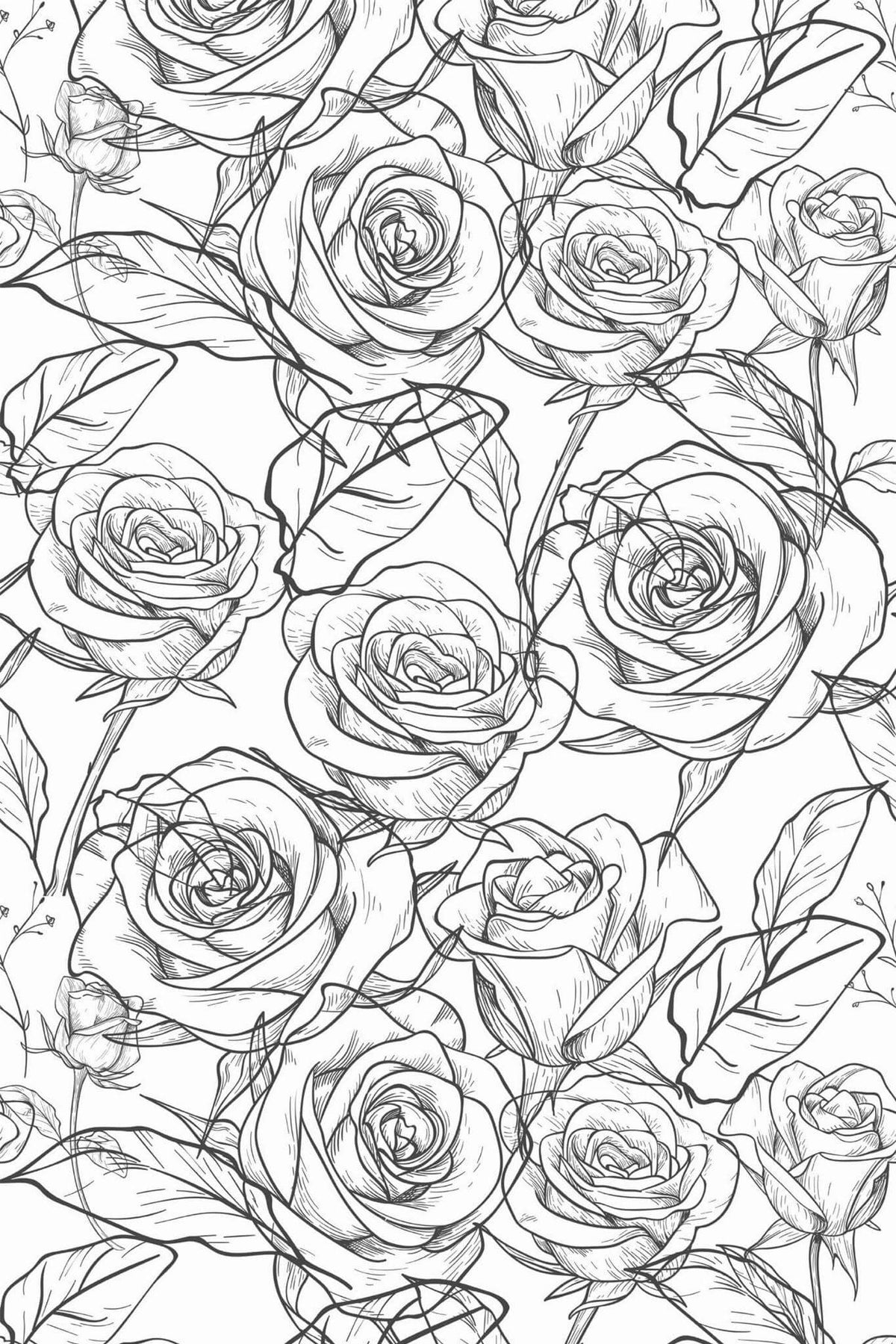 Roses au Trait Anthracite, aperçu aux dimensions saisies