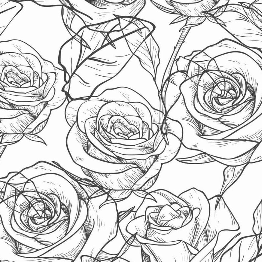 Gros plan de l'impression : la spirale de pétales d'une rose et les traits laissés autour.