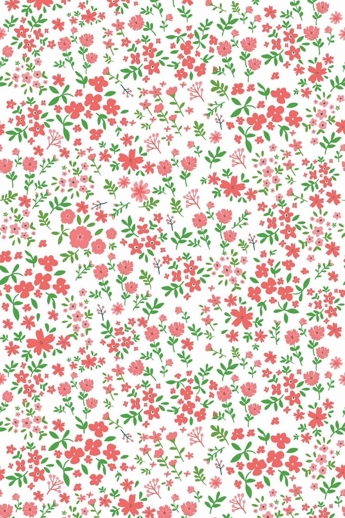 Semis Fleuri Corail Et Vert, aperçu aux dimensions saisies