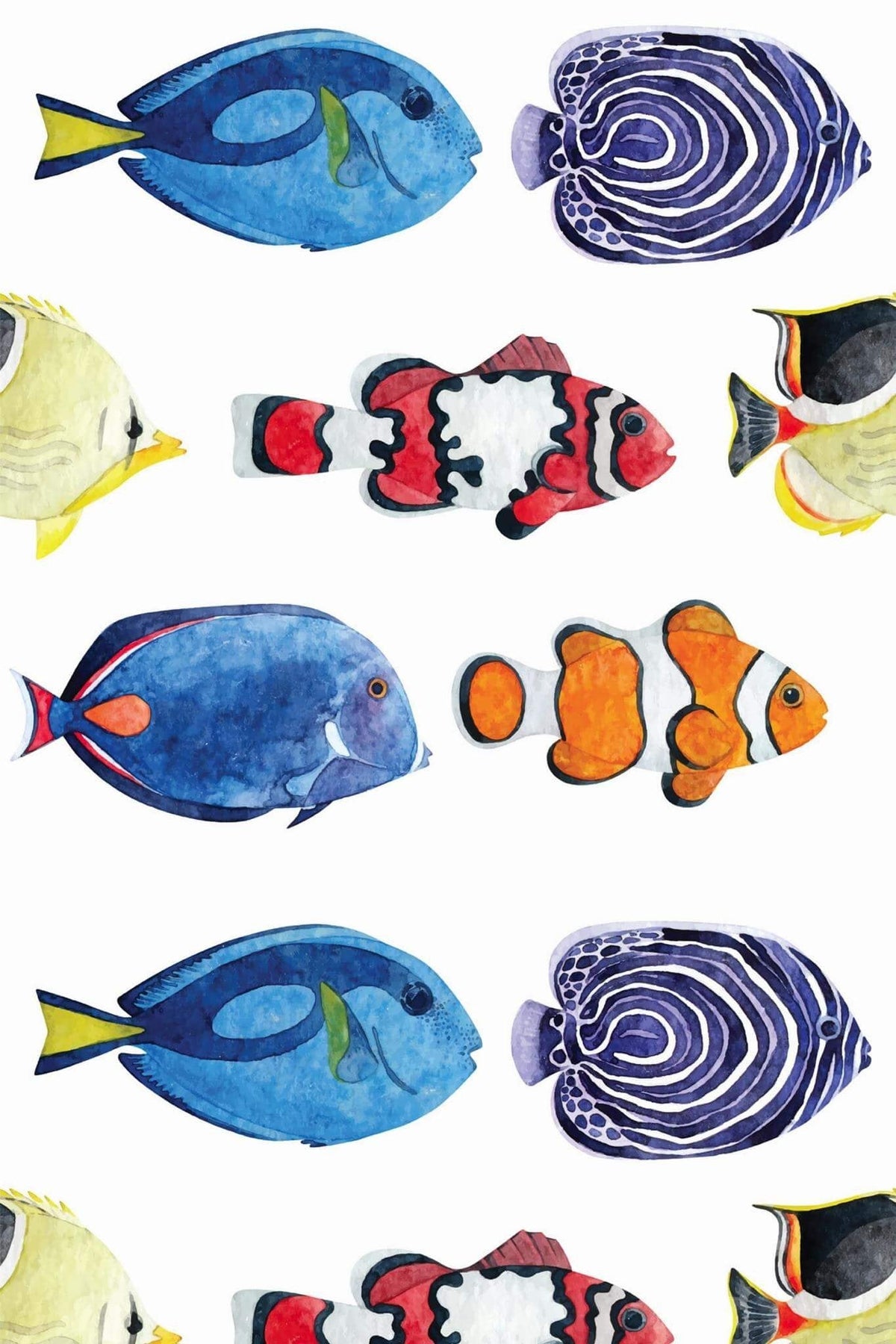 Poissons Tropicaux Bleu Roi, aperçu aux dimensions saisies