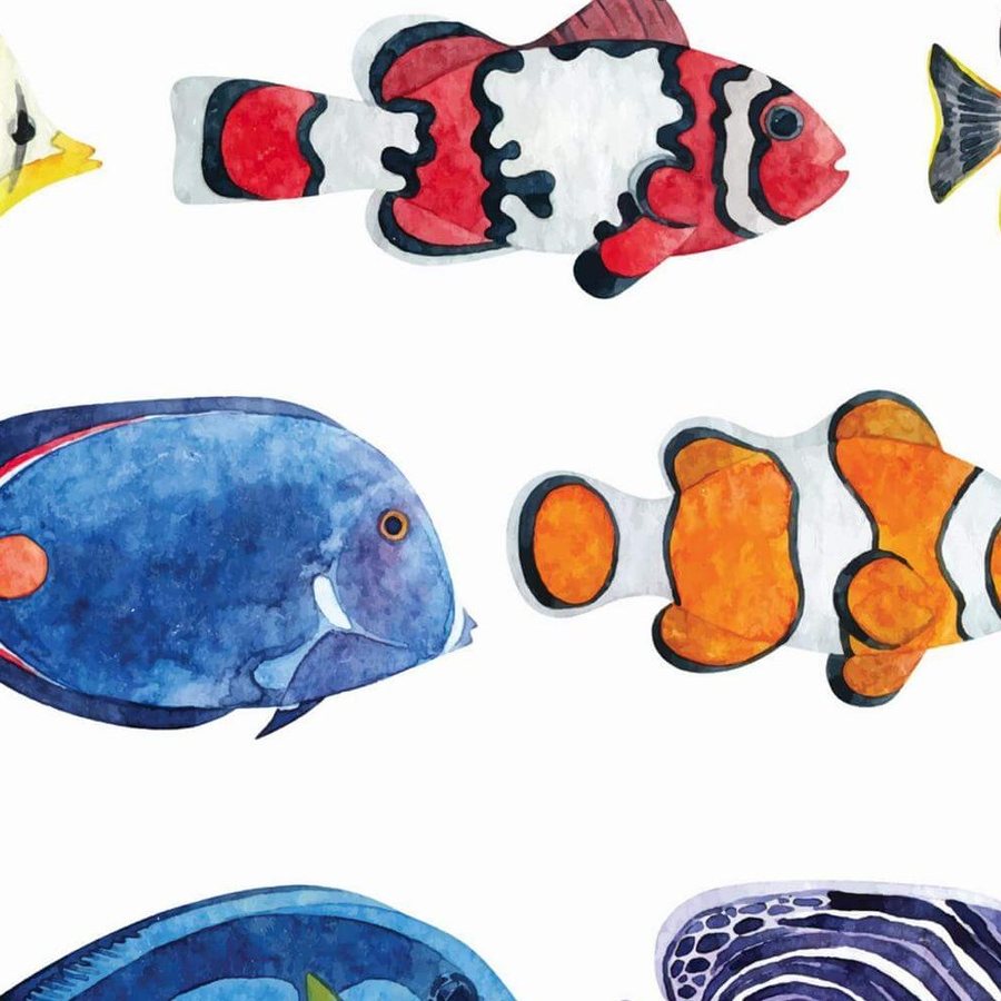 Gros plan sur un poisson bleu roi, ses transparences de lavis et son œil cerné de noir.