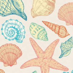 Gros plan de l'impression: les stries fines d'un pétoncle corail et la spirale d'un buccin turquoise.