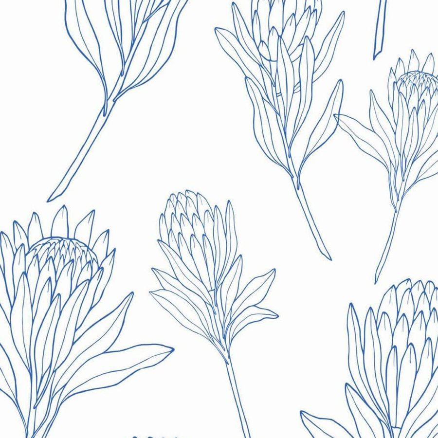 Gros plan sur l'impression : le trait bleu régulier qui détaille les bractées d'un bouton de protéa