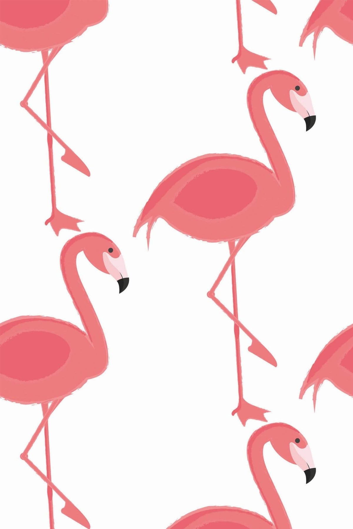 Grands Flamants Rose Corail, le motif seul