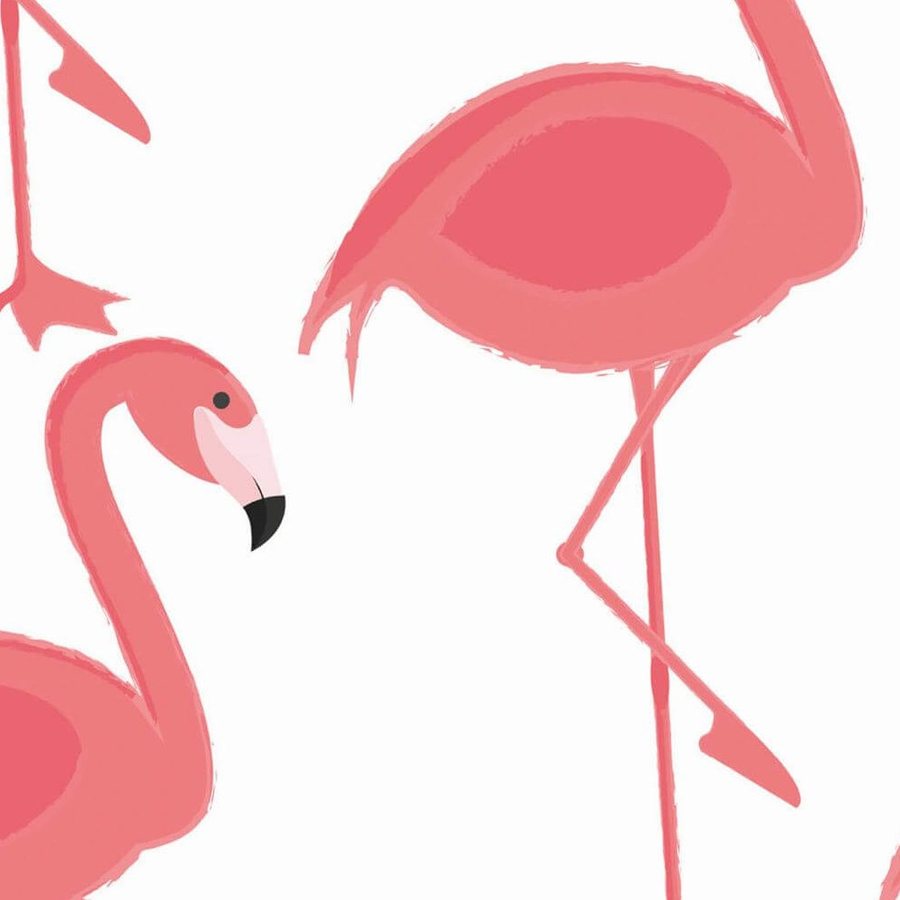 Gros plan de l'impression : aplat rose corail d'un dos de flamant et bord net du bec sur le fond blanc