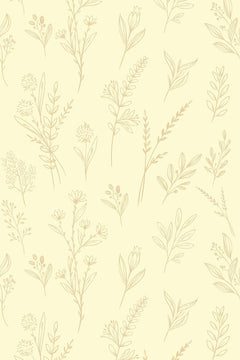 Motif de tiges fleuries au trait beige doré sur fond crème, graminées et ombelles, vu à plat