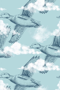 Le décor à plat : canards en vol dessinés au trait bleu-gris parmi des nuages blancs, sur un ciel bleu pâle.