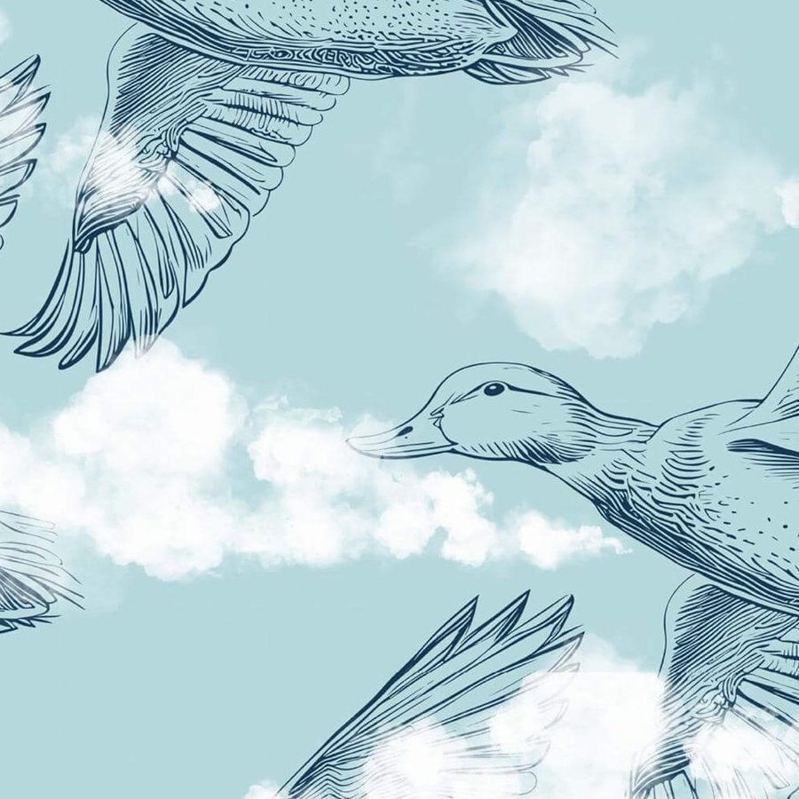 Canards en Vol Bleu Ciel, le motif seul