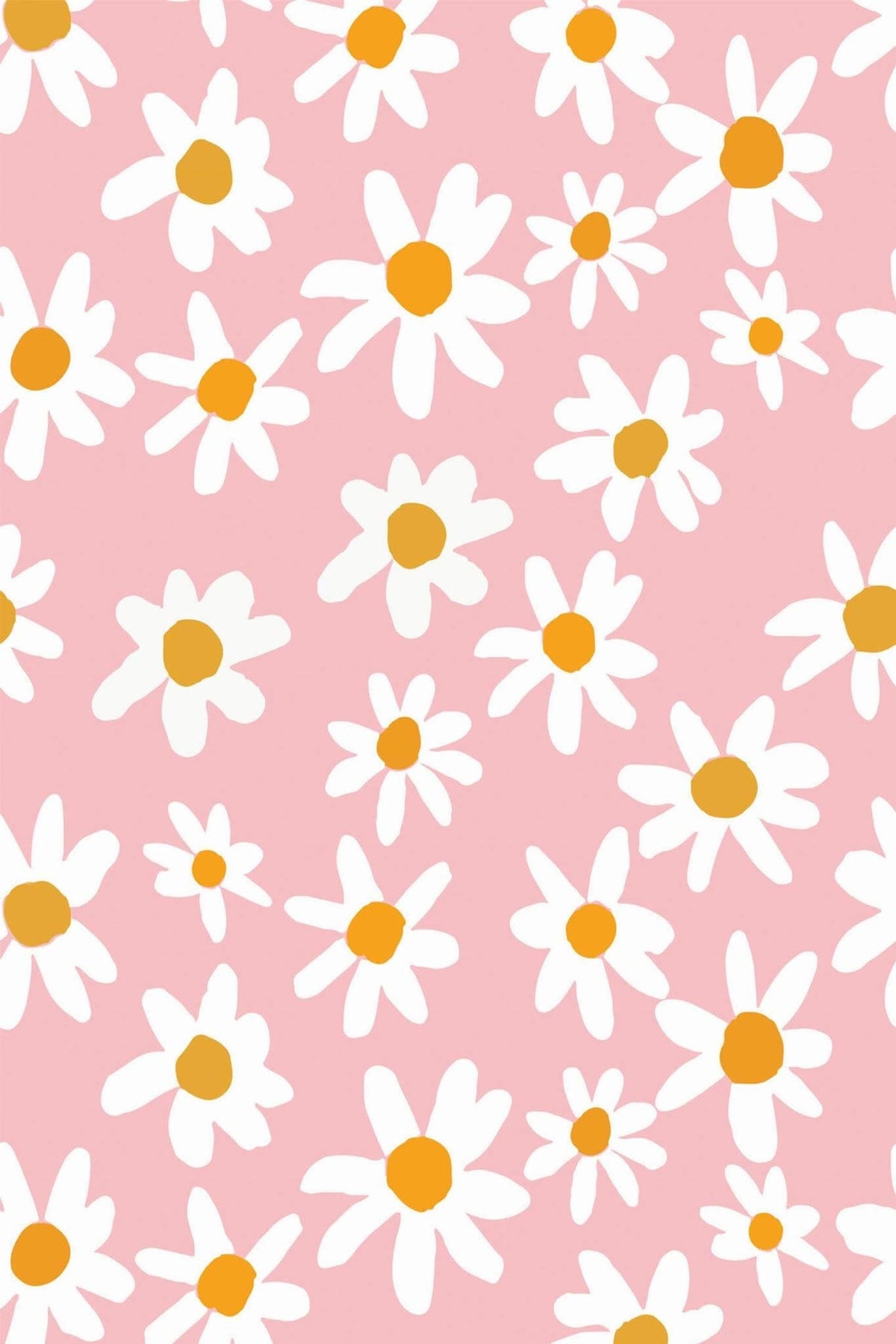 Grandes Marguerites Rose Poudré, aperçu aux dimensions saisies