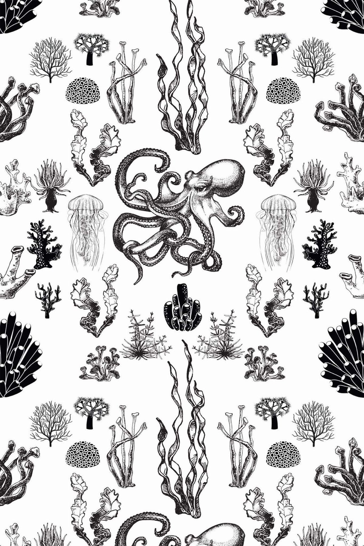 Fonds Marins Noir Et Blanc, aperçu aux dimensions saisies