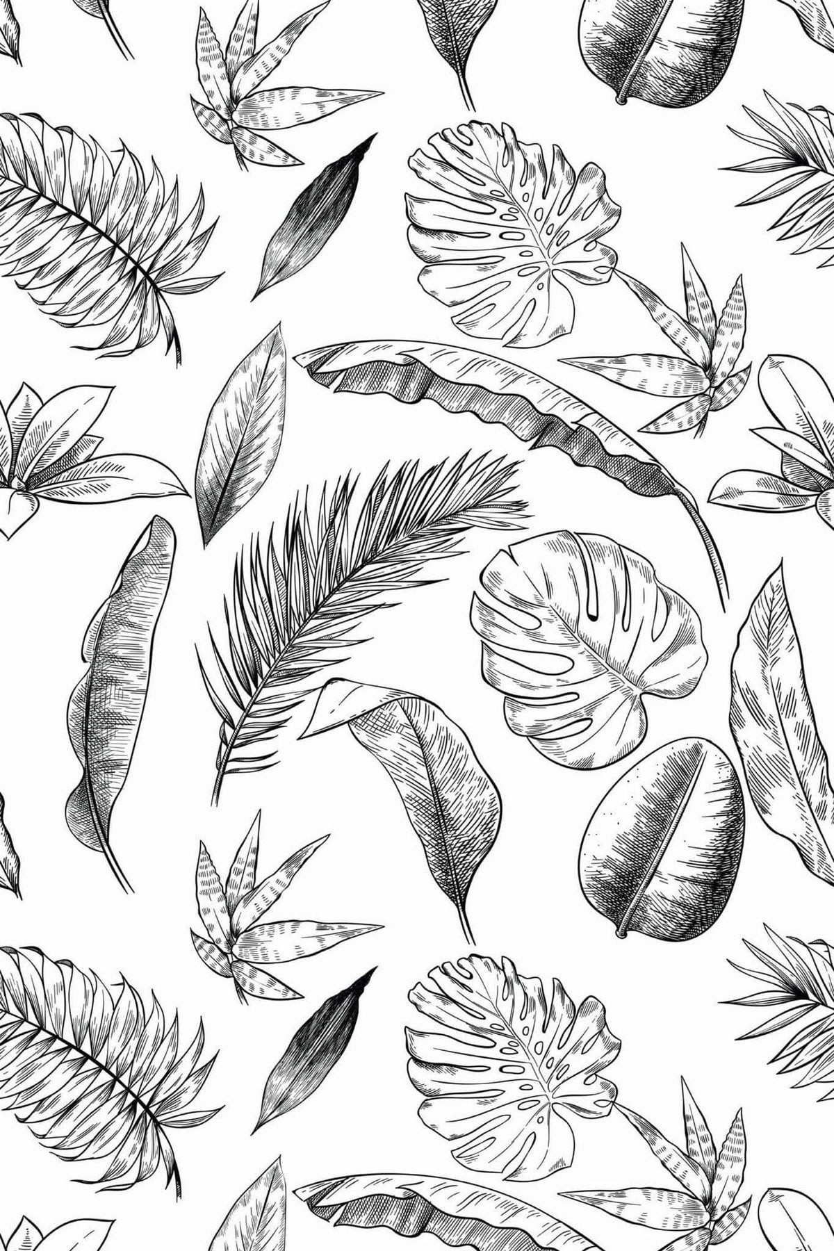 Feuillages Tropicaux Noir et Blanc, aperçu aux dimensions saisies