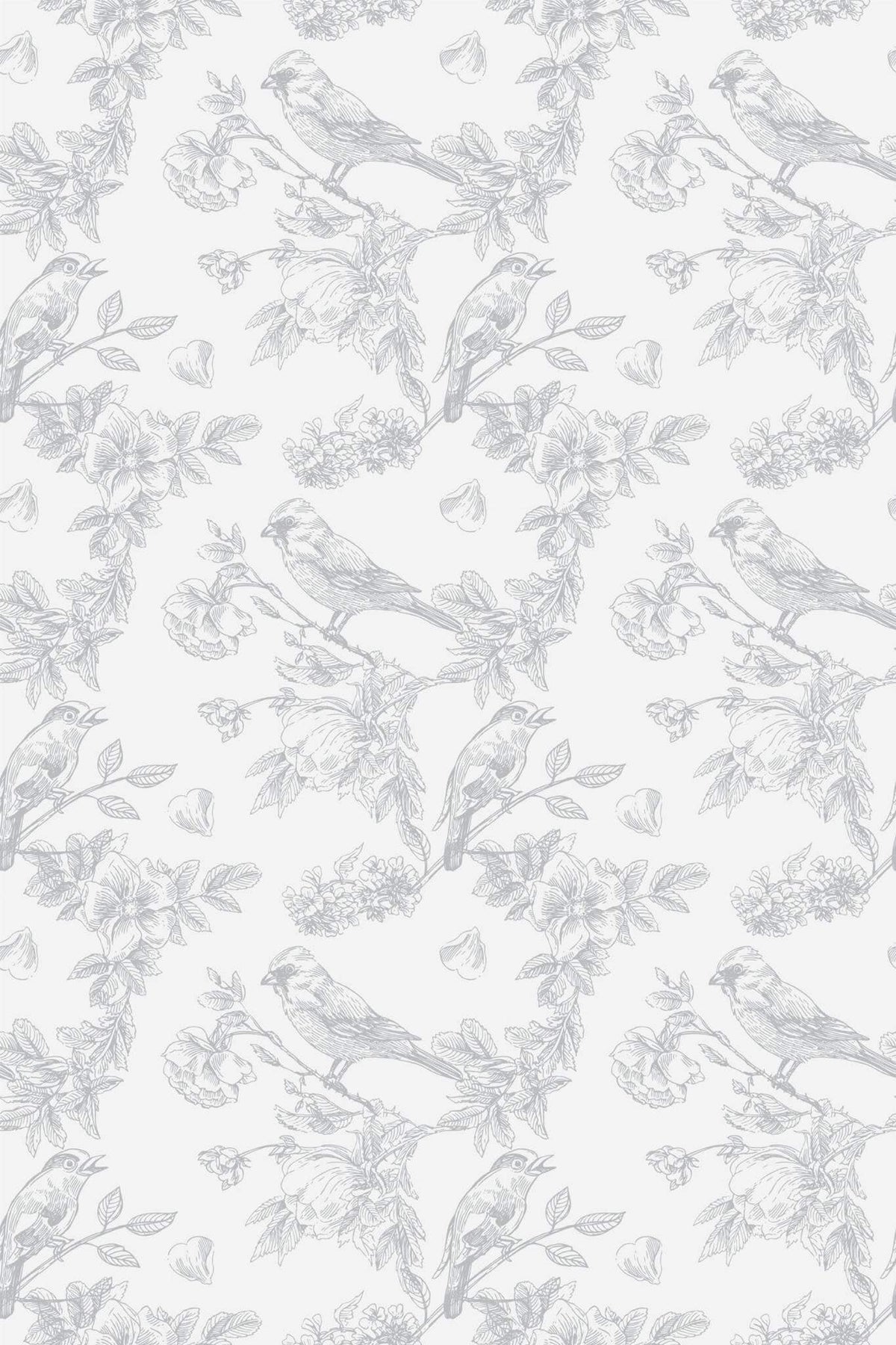 Oiseaux Gravés Gris Perle, le motif seul