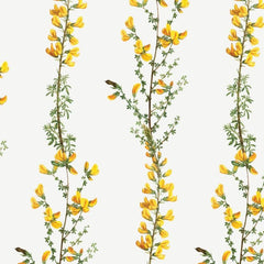 Gros plan de l'impression : une grappe de fleurs jaunes aquarellée, bords humides et pigment plus dense au cœur, sur l'ivoire.