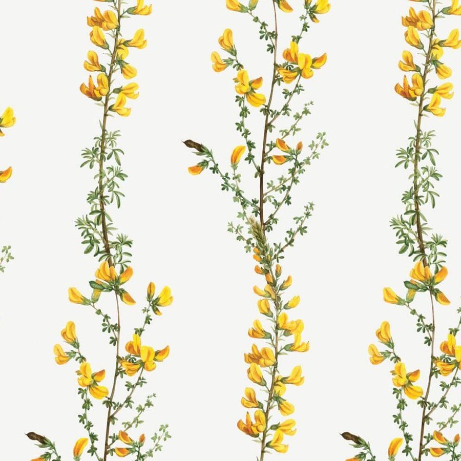 Gros plan de l'impression : une grappe de fleurs jaunes aquarellée, bords humides et pigment plus dense au cœur, sur l'ivoire.