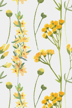 Motif à plat : tiges vertes verticales, épis et ombelles jaune d'or, boutons ronds vert amande sur fond blanc cassé