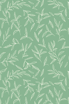 Motif de petites branches feuillues au trait blanc sur fond vert sauge, vu à plat