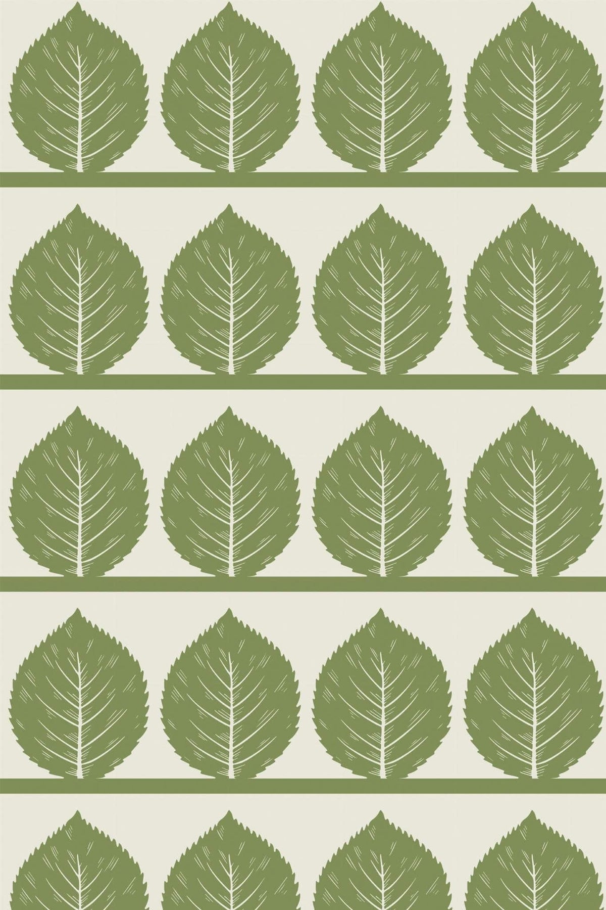 Feuilles de Bouleau Olive, le motif seul