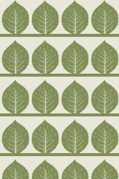 Motif à plat : grandes feuilles de bouleau vert olive en rangées, posées sur des bandes horizontales, fond crème