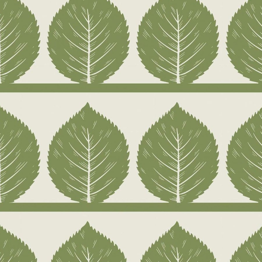Gros plan sur l'impression : nervures claires et bord denté d'une feuille verte sur fond crème