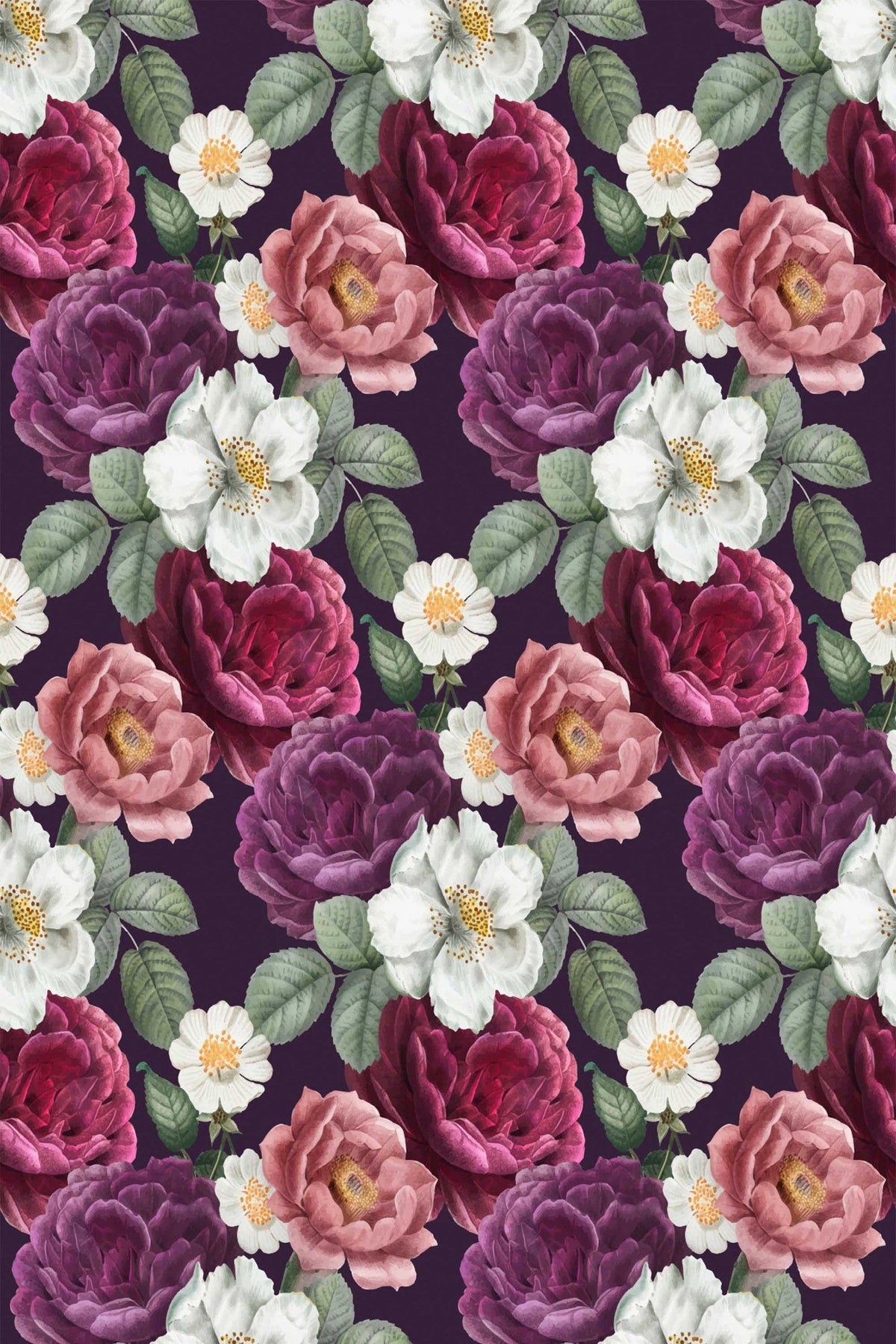 Roses Anciennes sur Prune, le motif seul