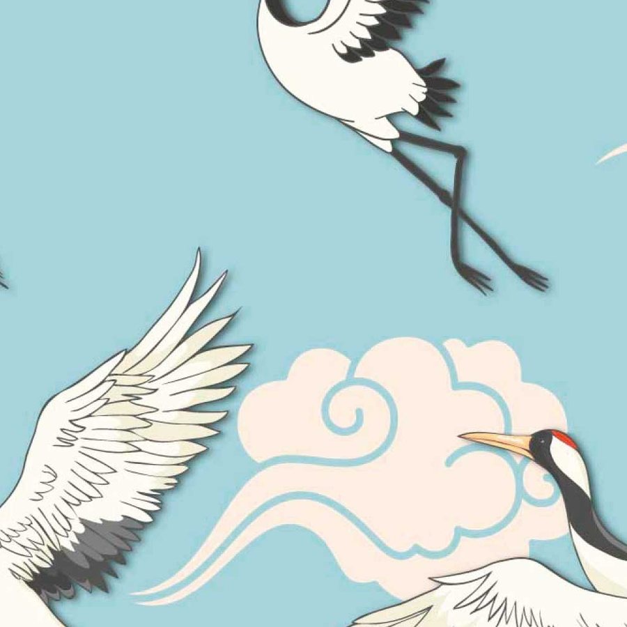 Gros plan sur une aile de grue, plumes blanches au trait fin et pointes noires.