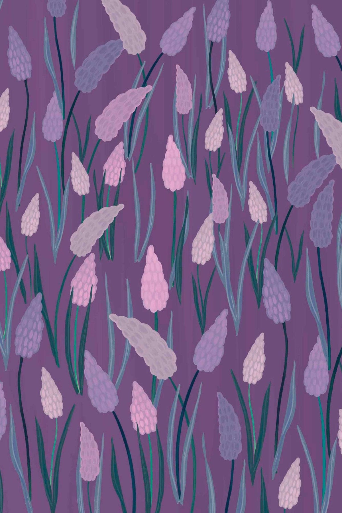 Muscaris Mauves sur Prune, aperçu aux dimensions saisies