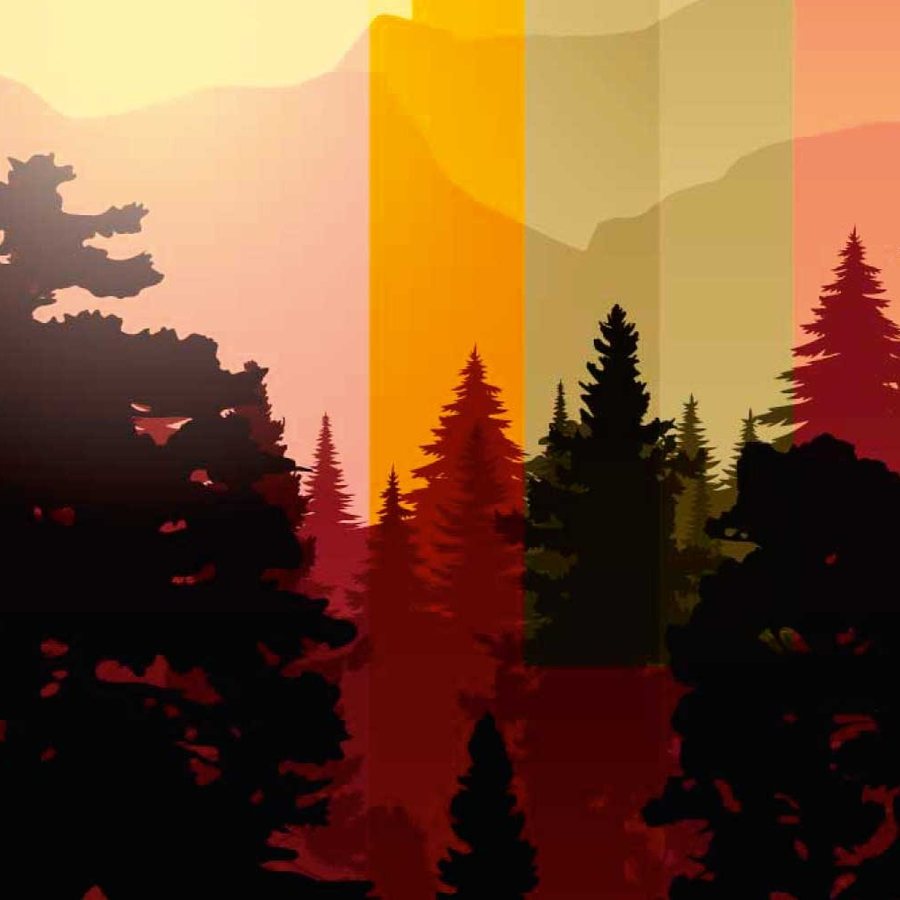 Forêt Rayée au Soleil Couchant, le motif seul