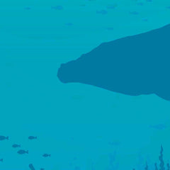 Gros plan de l'impression : le contour de la baleine bleu profond sur le turquoise de l'eau