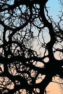 Le décor à plat : enchevêtrement de branches noires sur un fond dégradé du bleu pâle à l'abricot.