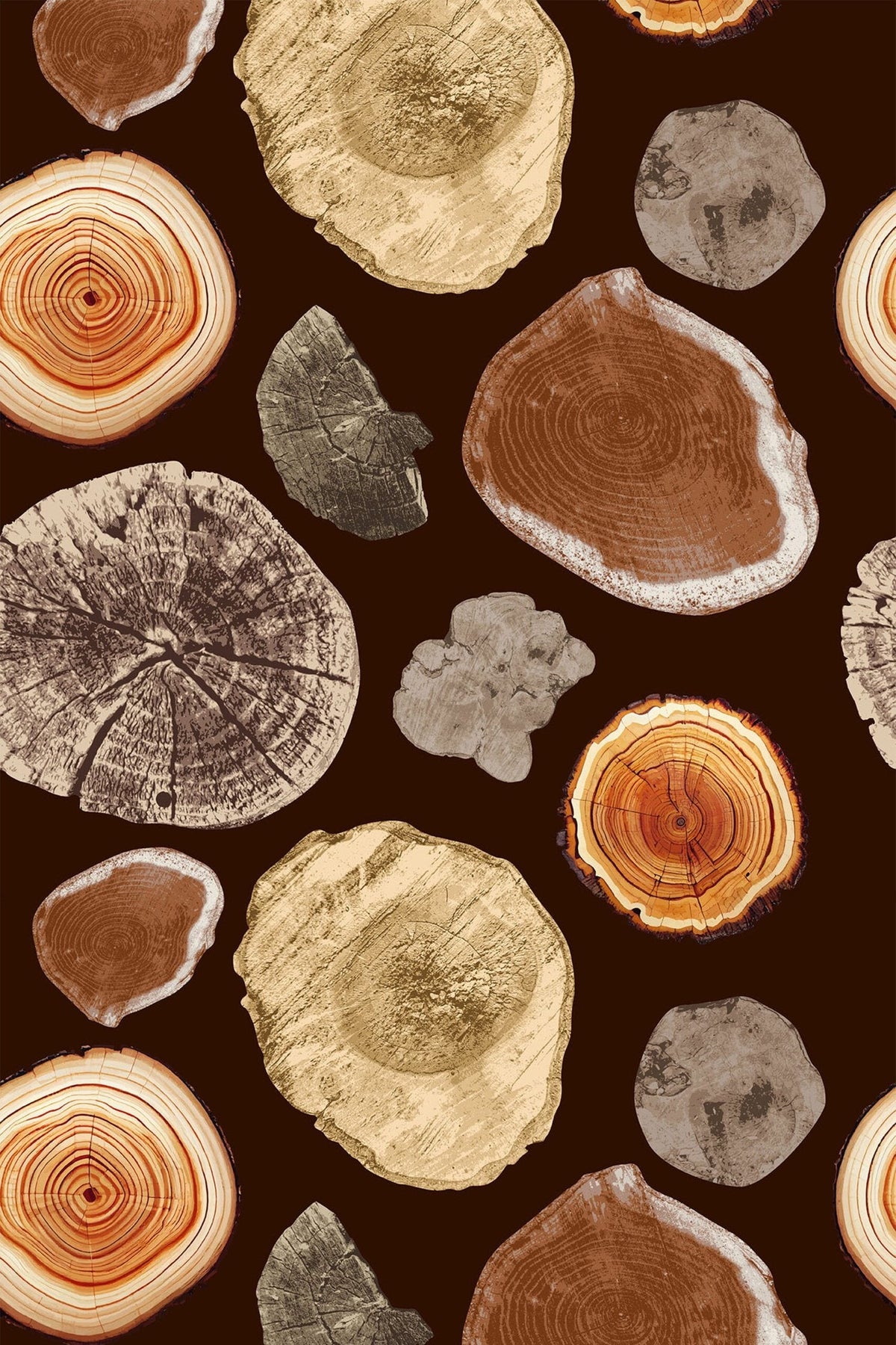Rondelles De Bois Ambrées, aperçu aux dimensions saisies