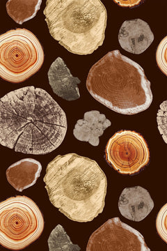 Le décor à plat : rondelles de tronc ambre, sable et gris taupe posées sur un fond brun foncé.