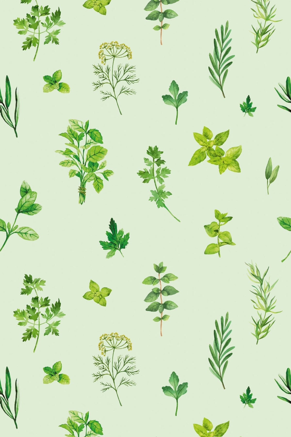 Herbes Aromatiques Vert d'Eau, le motif seul