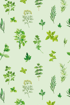 Le décor à plat : brins de romarin, basilic, persil et aneth sur fond vert d'eau pâle.