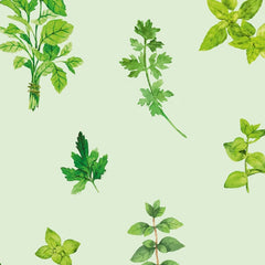 Gros plan sur l'impression : les feuilles aquarellées d'un brin de basilic et leurs bords fondus.