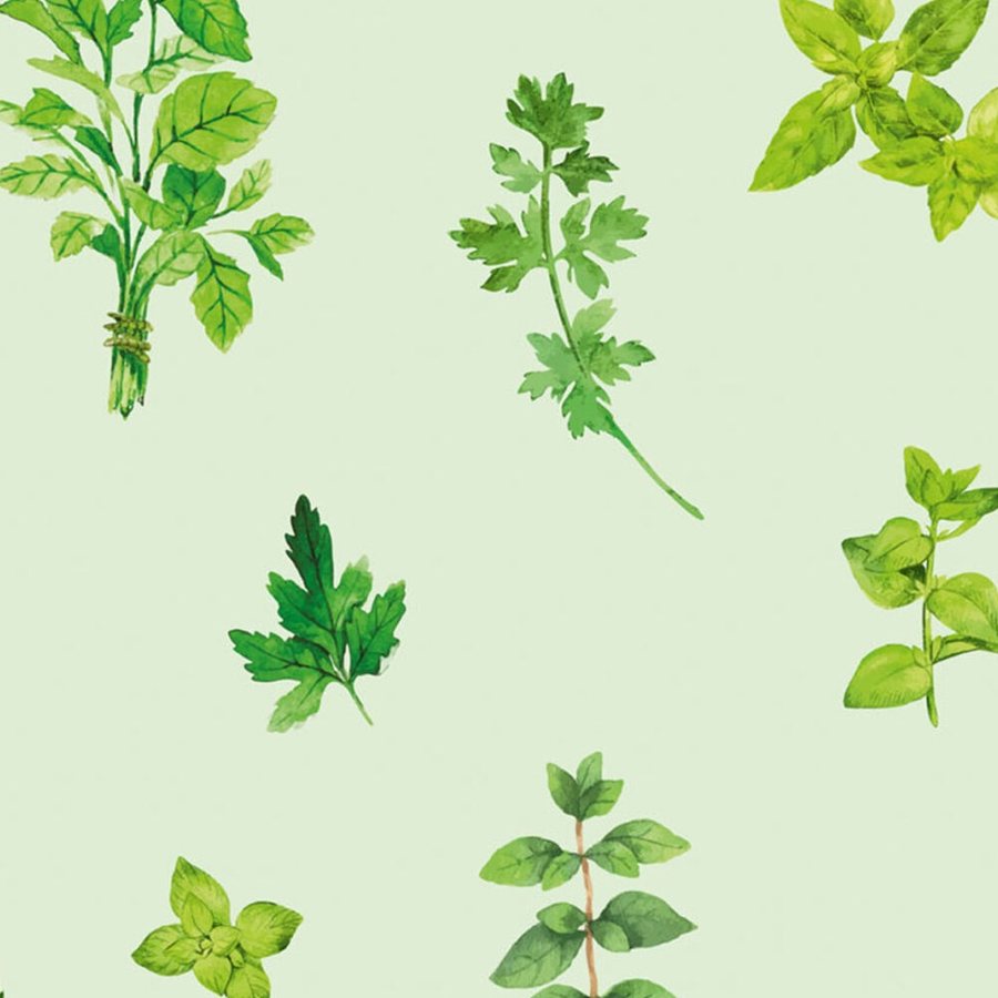 Gros plan sur l'impression : les feuilles aquarellées d'un brin de basilic et leurs bords fondus.