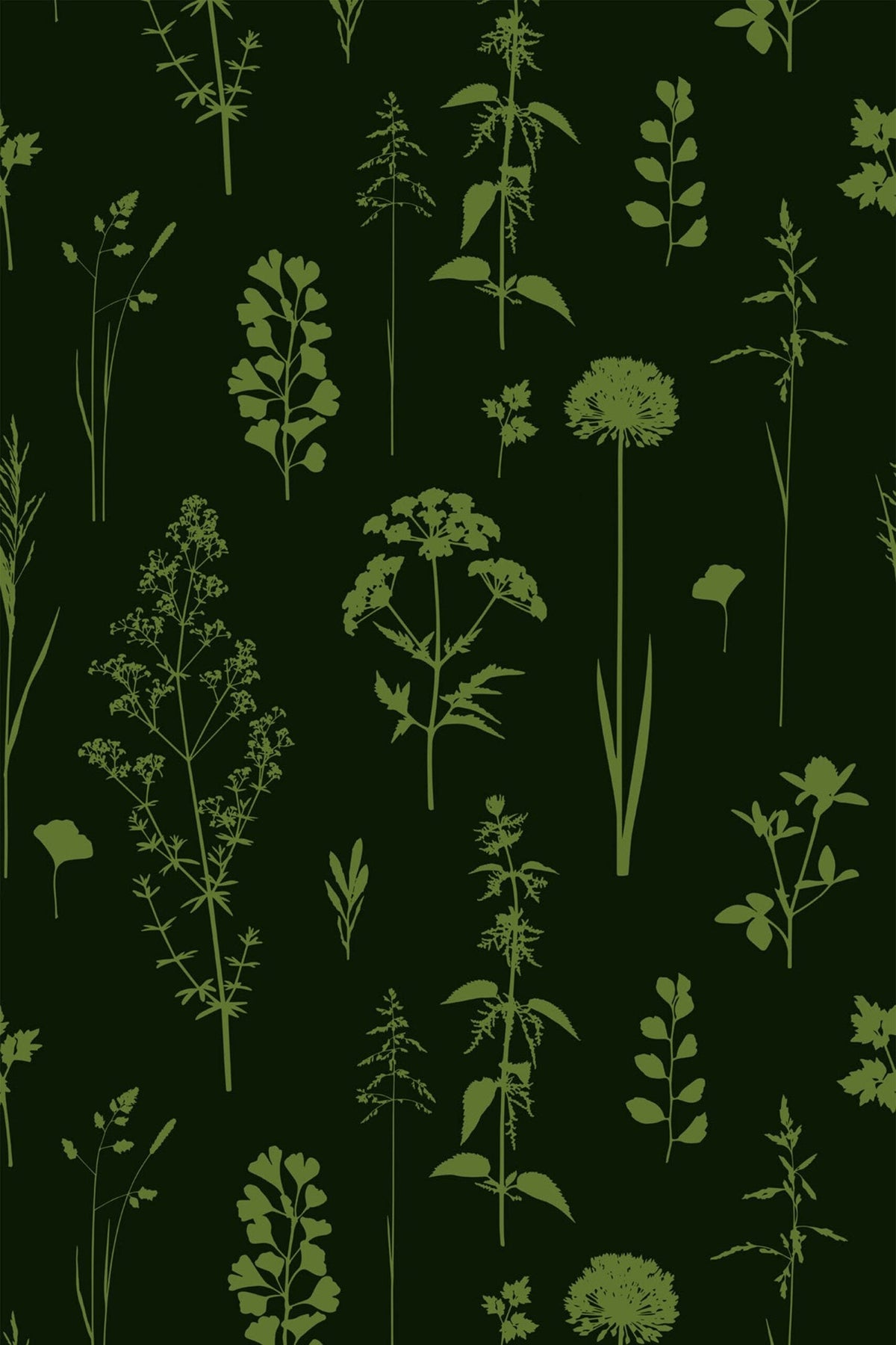 Herbier de Prairie Vert Sapin, le motif seul