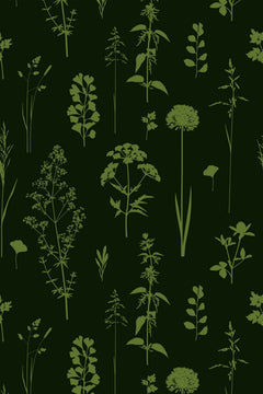 Motif à plat : silhouettes de graminées, d'ombelles et de ginkgo en vert tilleul sur fond vert sapin.