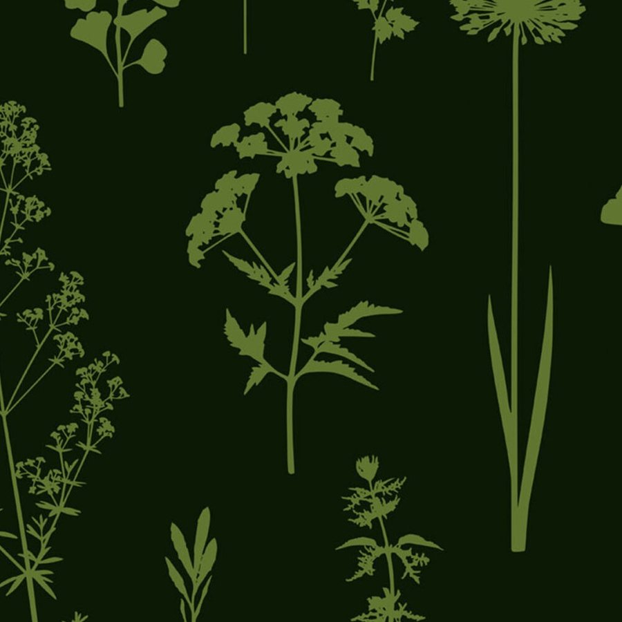 Herbier de Prairie Vert Sapin, le motif seul