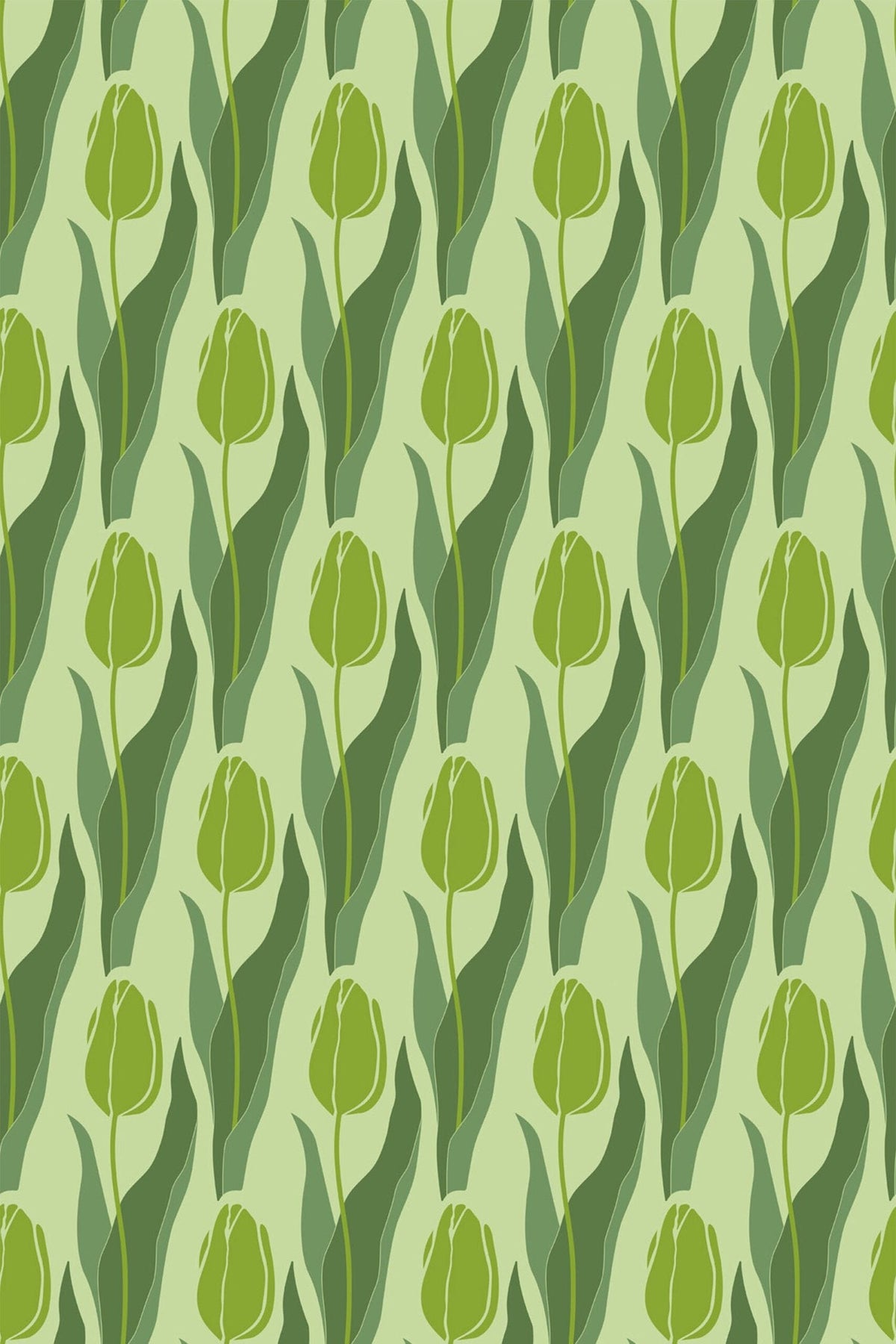 Tulipes Fermées Vert Tilleul, aperçu aux dimensions saisies
