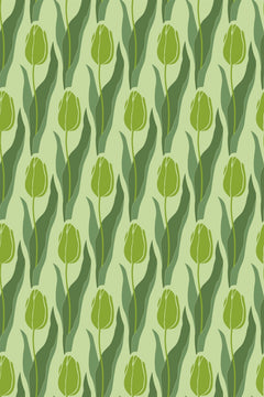 Le décor à plat : tulipes fermées vert tilleul et longues feuilles vert sapin sur fond vert d'eau.
