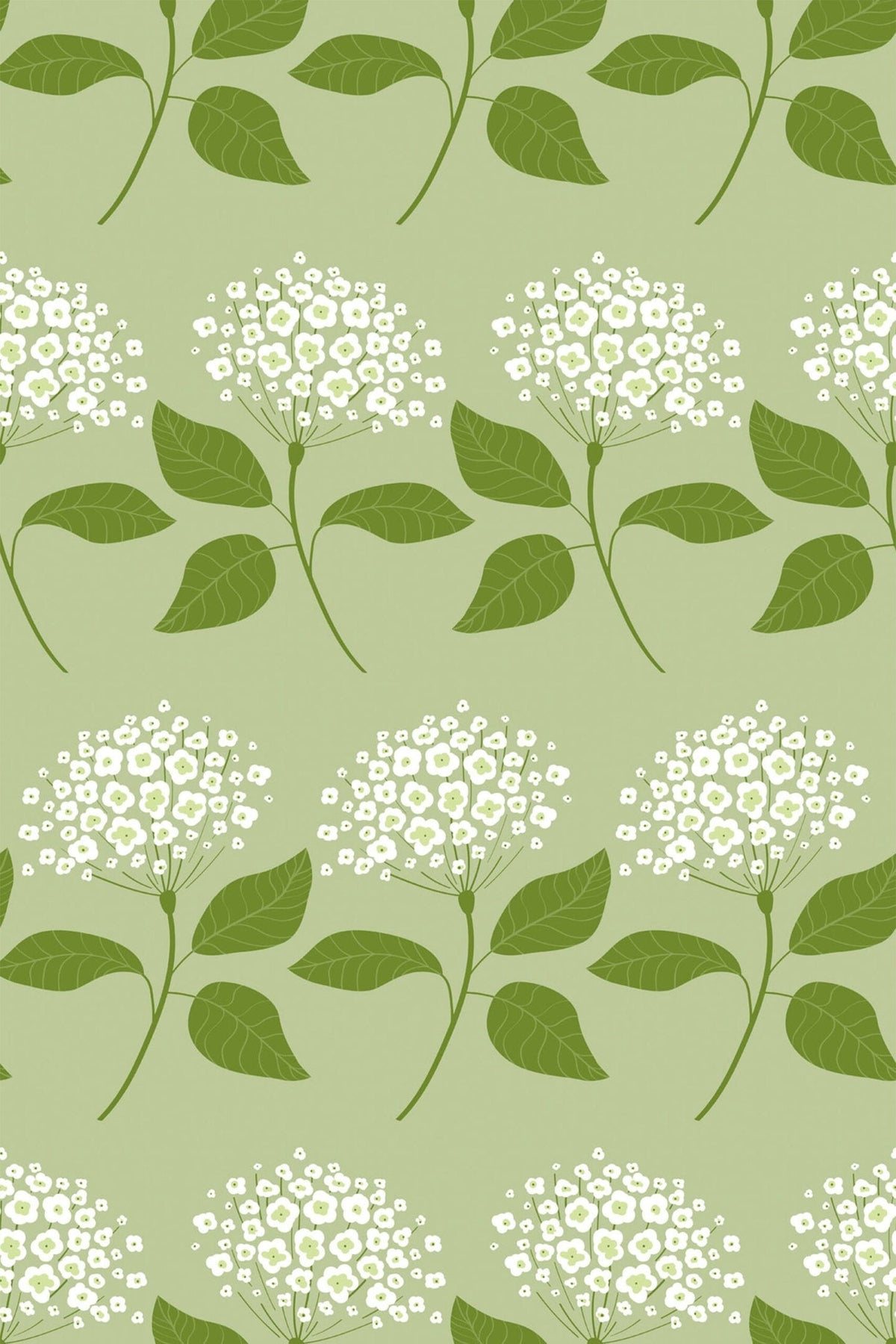 Ombelles Blanches Vert Amande, aperçu aux dimensions saisies