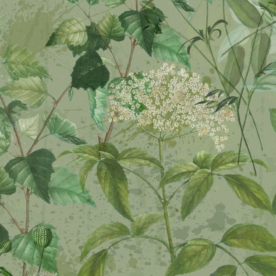 Gros plan sur l'impression : les nervures d'une feuille vert foncé et une ombelle blanche