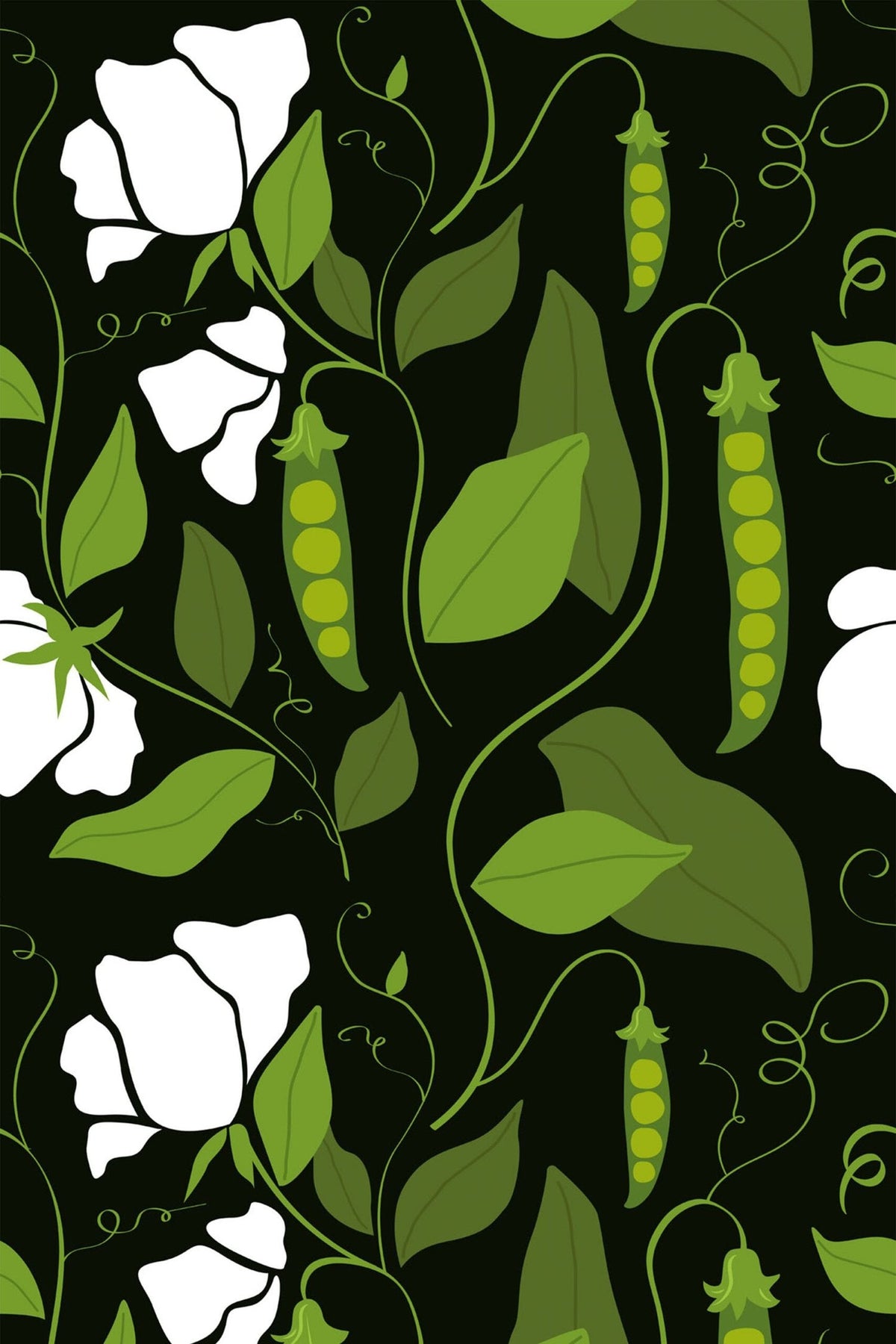 Gousses de Pois sur Noir, le motif seul