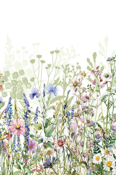 Décor à plat : cosmos roses, delphiniums bleus et marguerites blanches sur fond blanc.