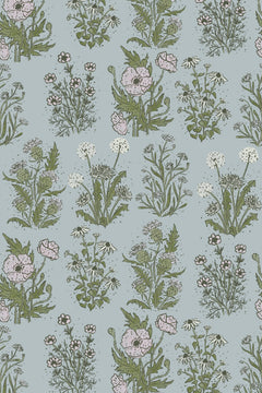 Touffes de pissenlits, coquelicots rose pâle et marguerites tracées au trait vert olive sur un fond bleu-gris.