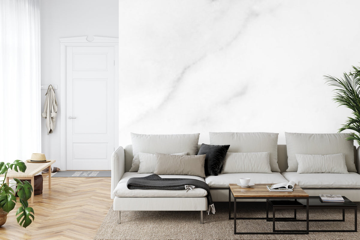 Papier peint panoramique Marbre de Carrare — blanc veiné gris très clair