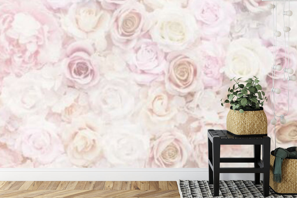 Papier peint panoramique Mur de roses — fleurs poudrées rose et ivoire